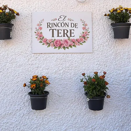El Rincon De Tere Apartment Riaza